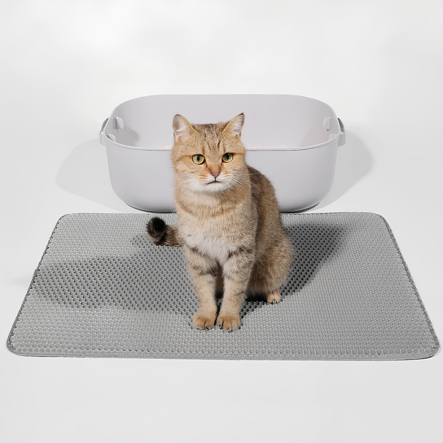 PawfectWorlds™ Kitty Trap – Cat Litter Mat