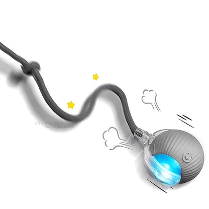 PawfectWorlds™ Smart Toy – Cat Rechargeable Ball