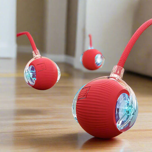 PawfectWorlds™ Smart Toy – Cat Rechargeable Ball