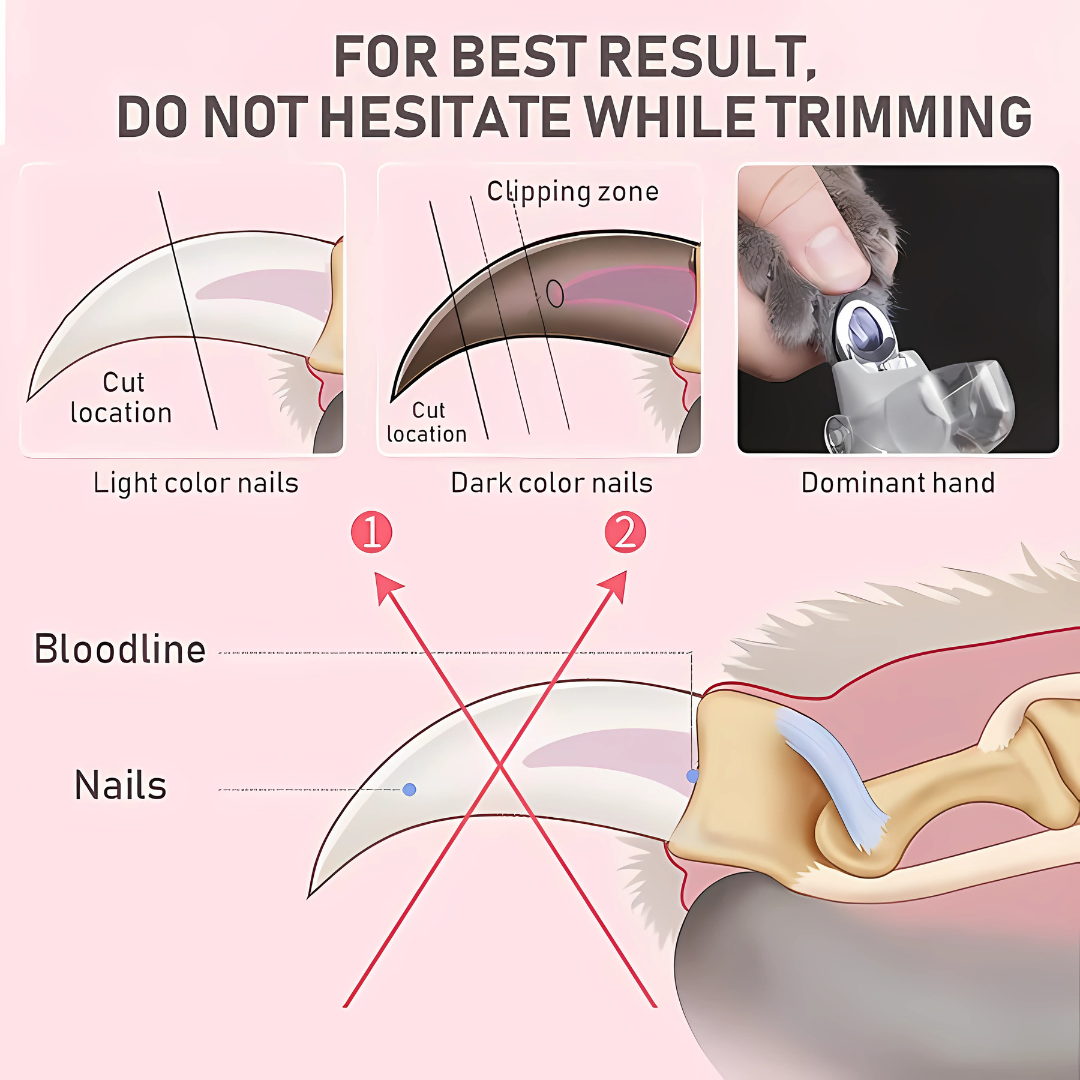 PawfectWorlds™ LED Cutter – Light Nail Clipper