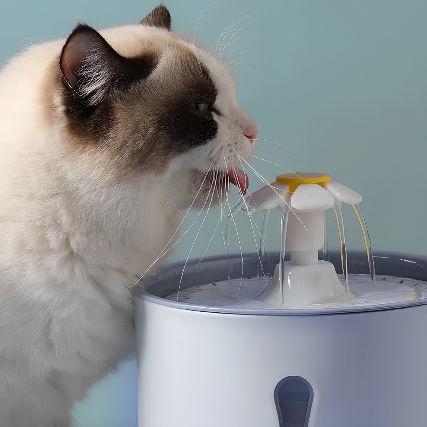PawfectWorlds™ Water Dispenser – Pet Drinking Fountain