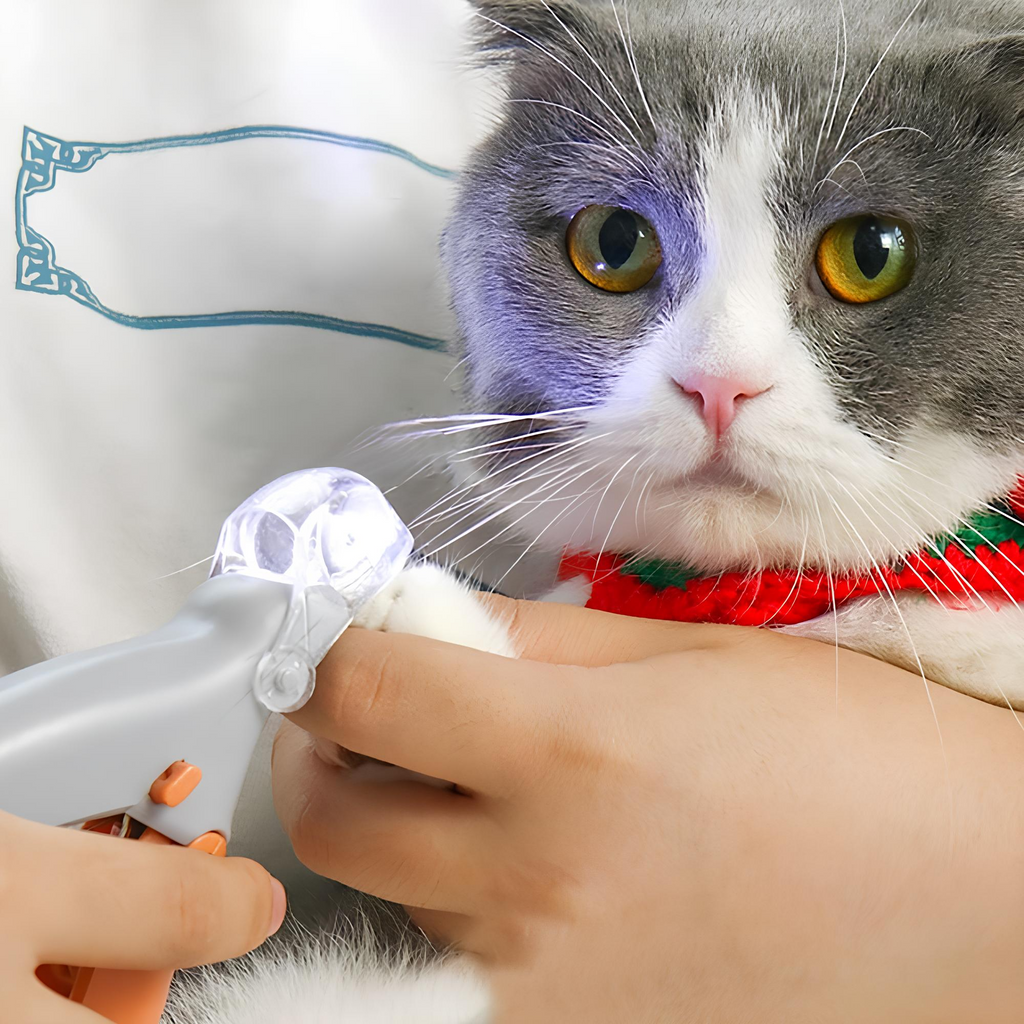 PawfectWorlds™ LED Cutter – Light Nail Clipper
